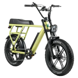 GTS-Fatbike Nobel Groen